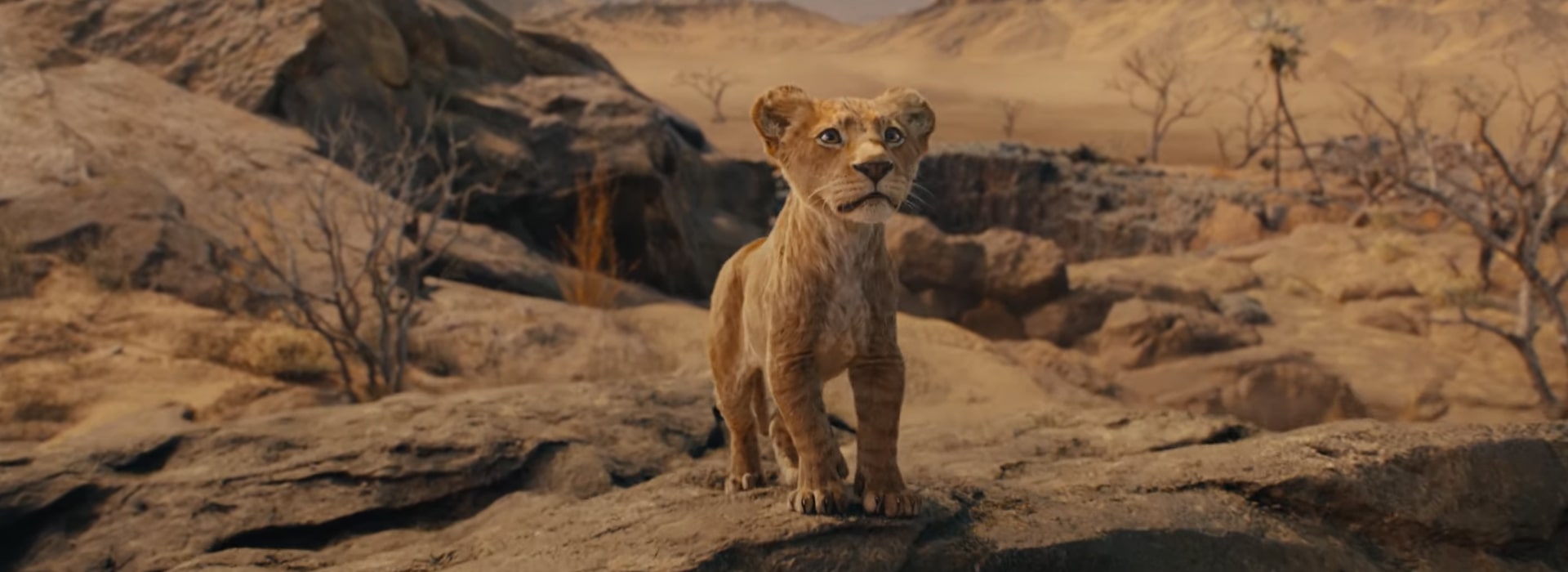 MUFASA: IL RE LEONE