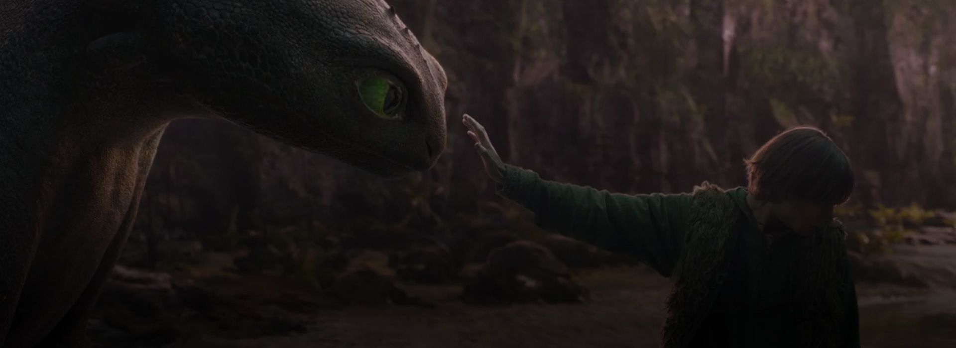 DRAGON TRAINER