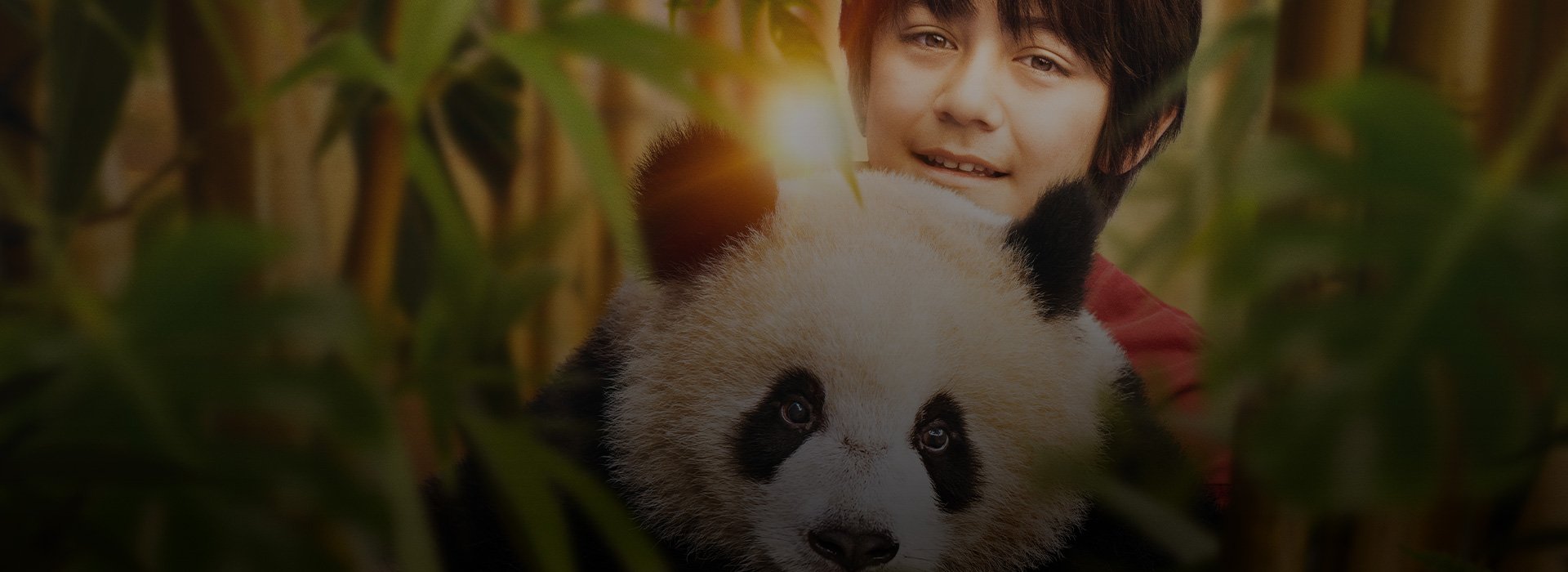 MOON IL PANDA
