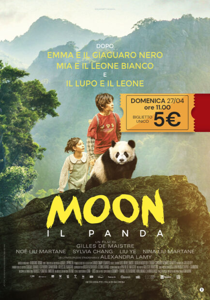MOON IL PANDA