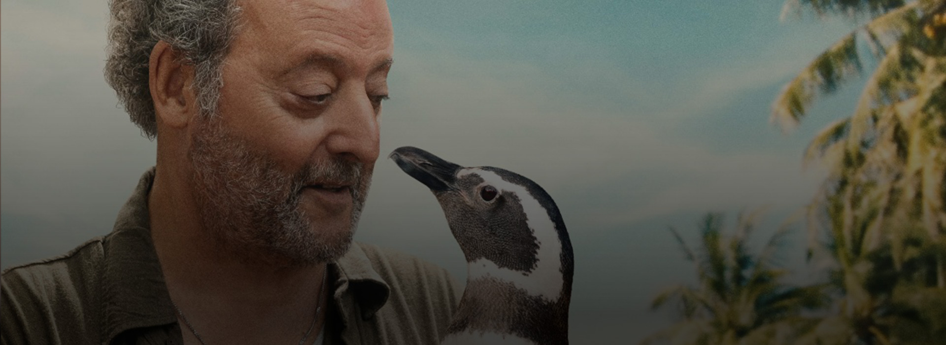 IL MIO AMICO PINGUINO
