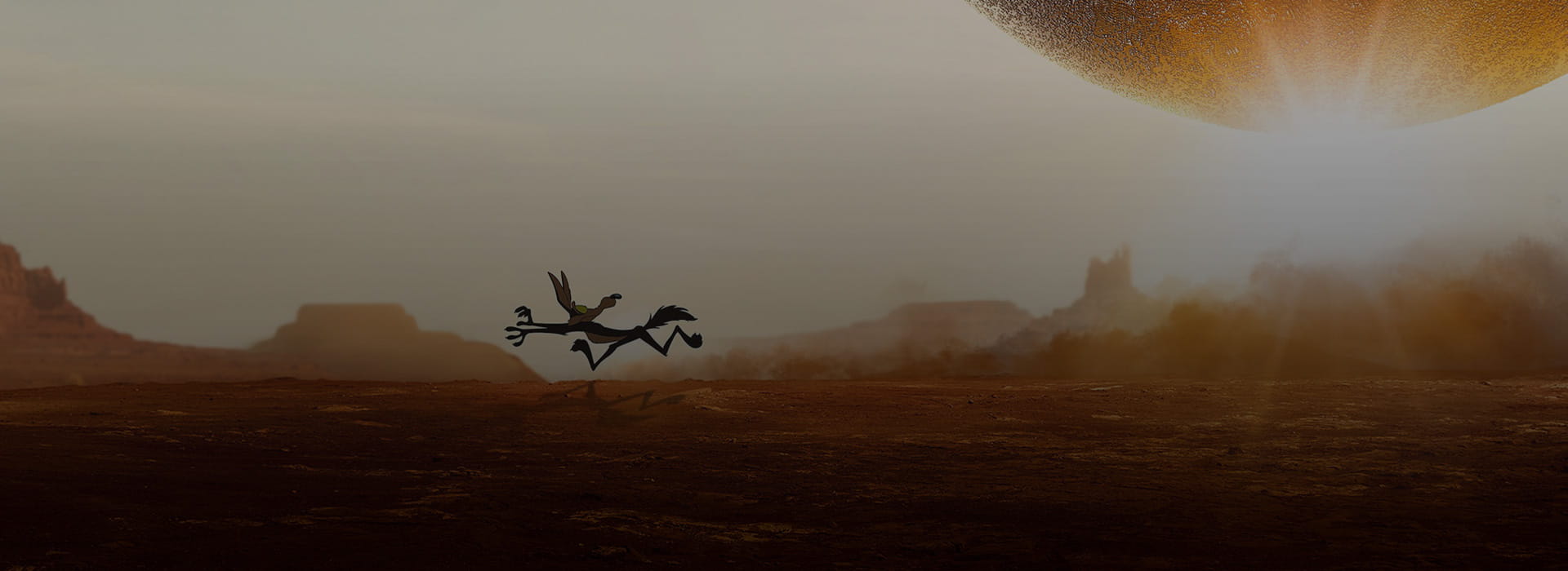 COYOTE VS. ACME