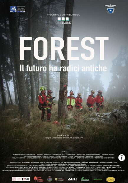 FOREST – IL FUTURO HA RADICI ANTICHE