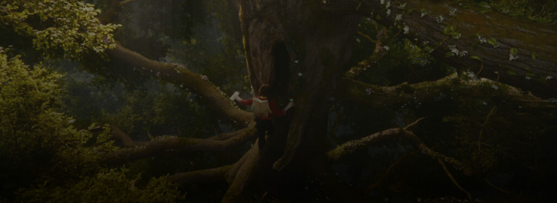 L’ALBERO DI MOLTO LONTANO