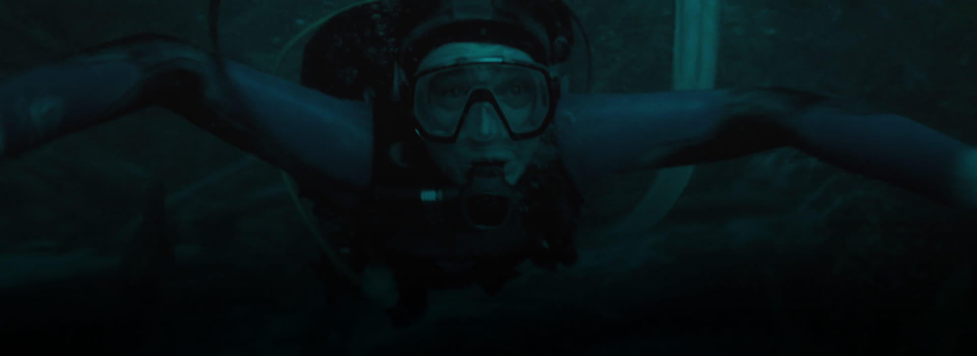 WHALEFALL – NELLA BALENA